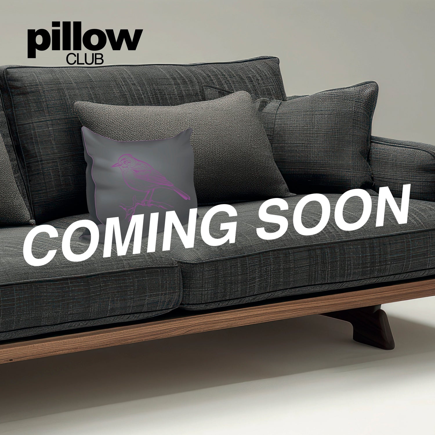 PILLOW CLUB